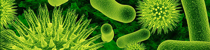 Guerra ai microbi
